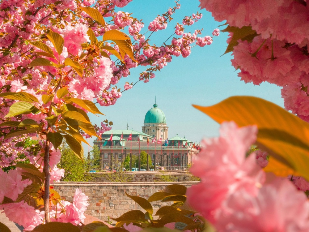 The Ultimate Guide to Visiting Budapest in Spring: What to See, Do, and Experience